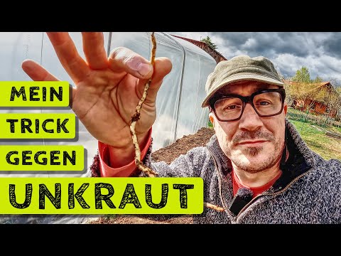Thumbnail for Der Unkraut-Trick im Selbstversorgergarten | Bienen halten