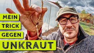 Der Unkraut-Trick im Selbstversorgergarten | Bienen halten