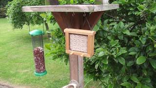 Bird Feeder for Suet Blocks