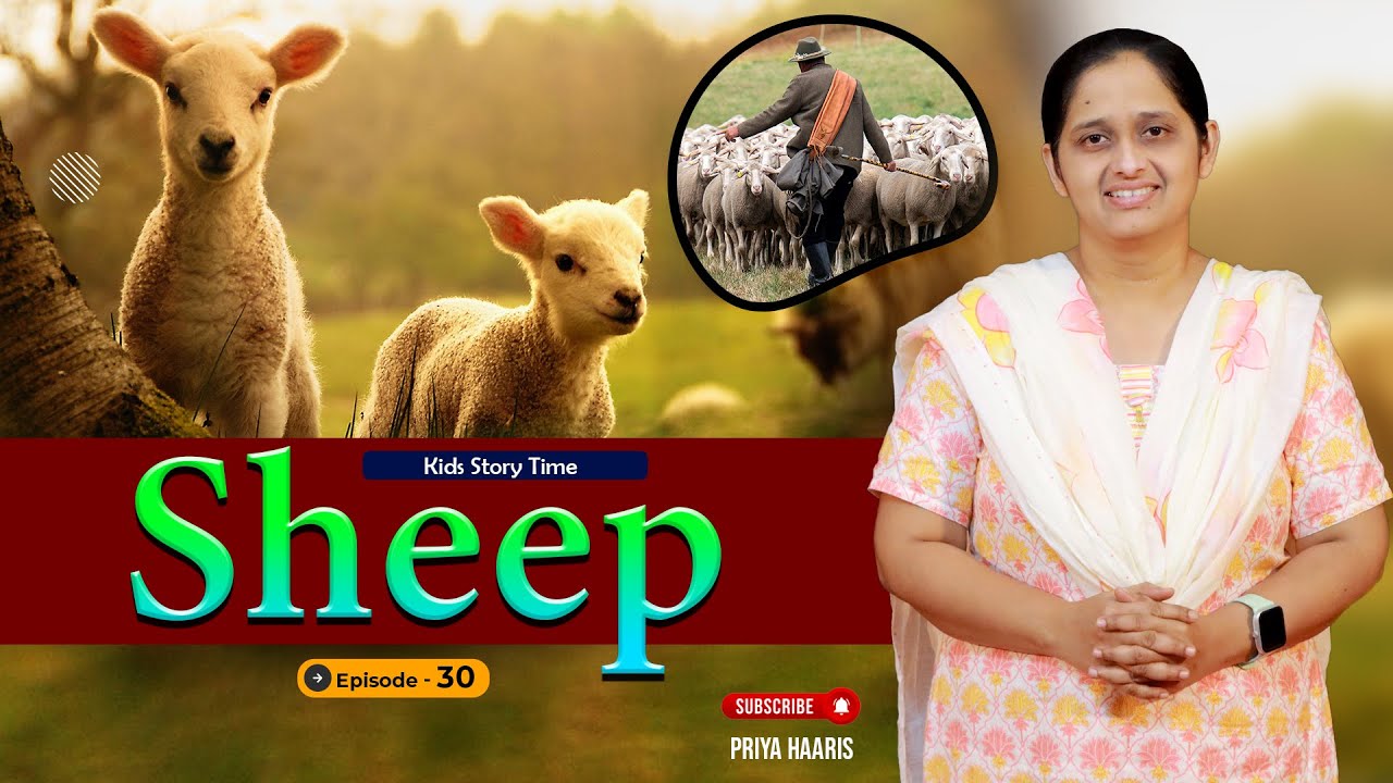 Kids story time - Sheep l sunday school stories in telugu l story by Priya Haaris |