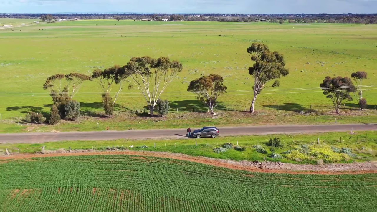 Mavic 2 pro in the lush green fields