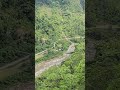 palpa #nature