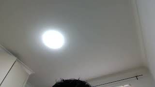 Win 20260812 14 55 25 Pro