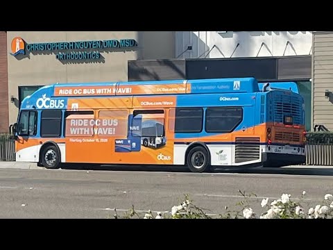 30 Octa Bus Schedule 37