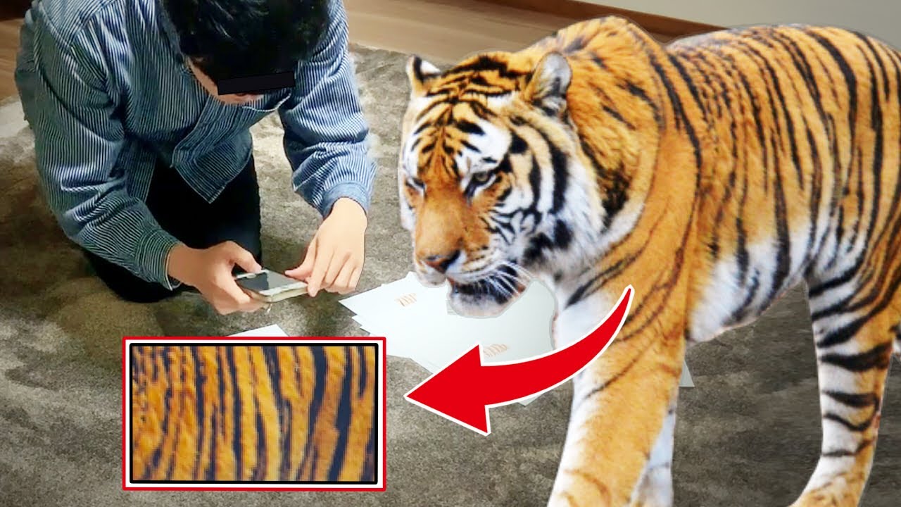 トラをバーコード読み取りしたら何がヒットするのか？