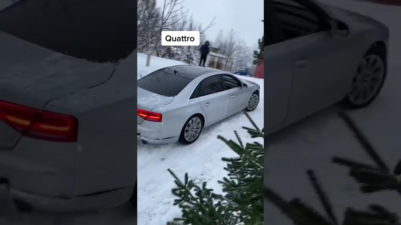 Audi A6 Quattro Snowy Hill ❄️