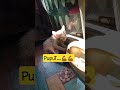 Pagiiii, Puput💞#catlover#cat #imut @IdaHasdar
