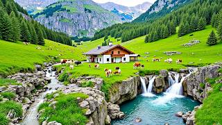 العلاج بالموسيقى 🌿 يُهدئ الجهاز العصبي ويُنعش الروح، ويُساعد على الاسترخاء #34 screenshot 4