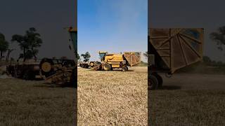 How To Do Farming Work In Village 😲 #trending #agriculture #harvest #farmerlife #shorts