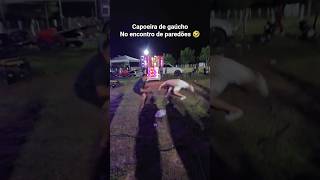 tartaruga 🐢 na capoeira