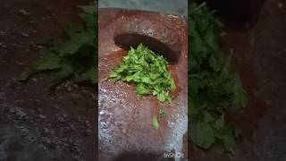 Pudina chatni # mint chutney # spicy 🔥🥵#healthy # silbatta chutney #indian food