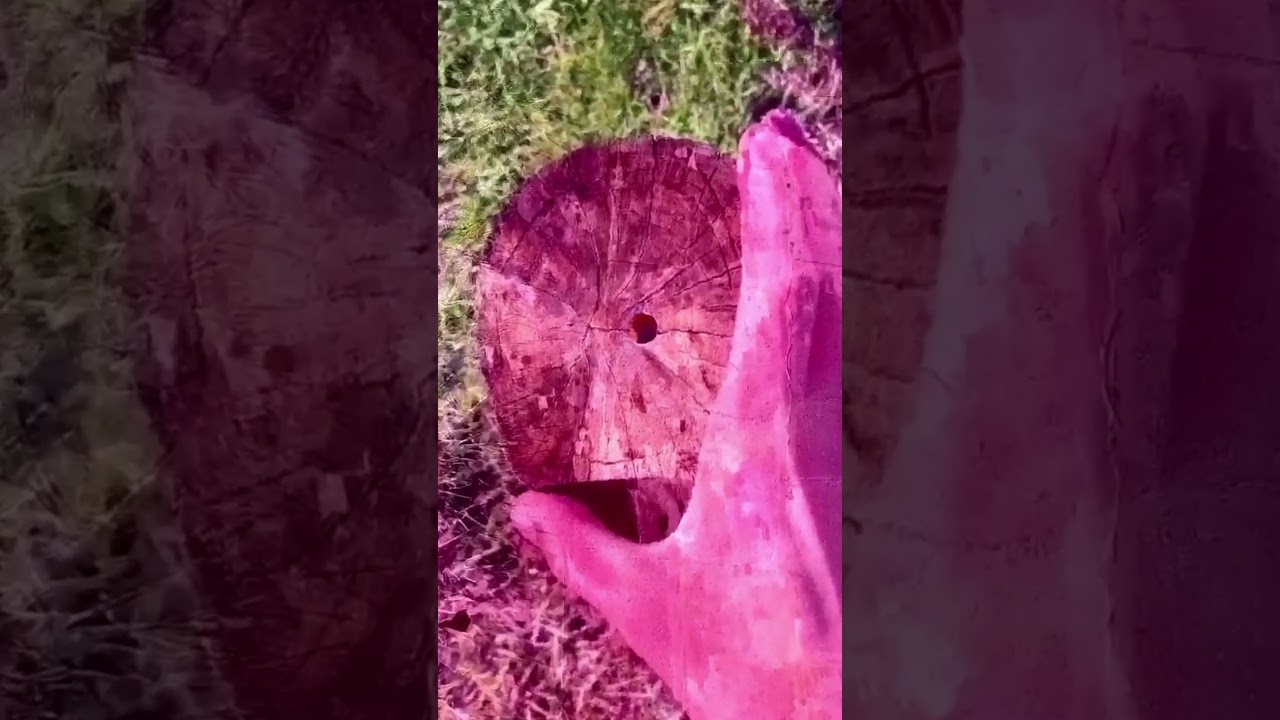 Most confusing video EVER!