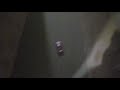 конструктор Феррари на ПДУ кадо