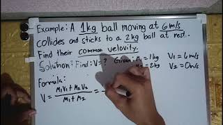 Elastic and inelastic collision