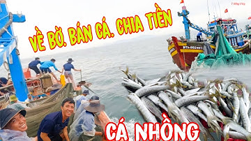 LƯỚI CHAO 3_Gió To Nổi Lên, Ngư Dân Về Bờ Bán Cá Chia Tiền_Ấm Lòng 1 Chuyến Đi