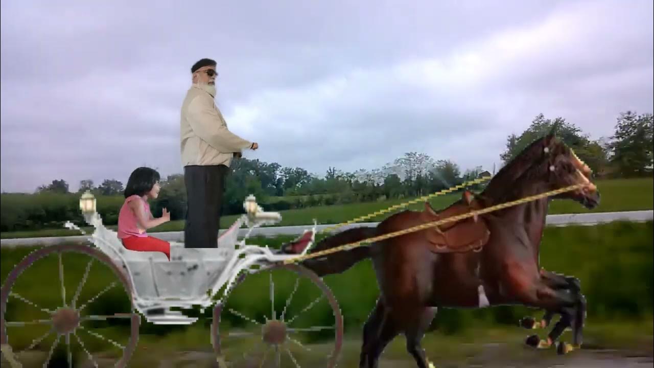 HORSE CART RIDE YouTube