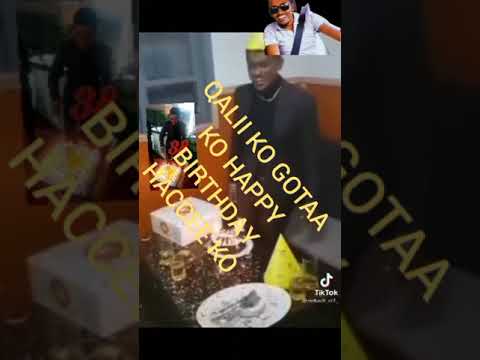 Qalii Ko Gotaa Ko Happy Birthday Hacceee Ko