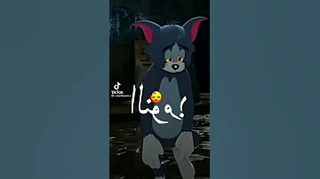 ضليت اشيل اشيل هموم 