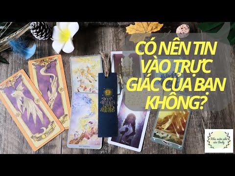 Video: Bạn Có Thể Luôn Tin Tưởng Vào Trực Giác Của Mình Không