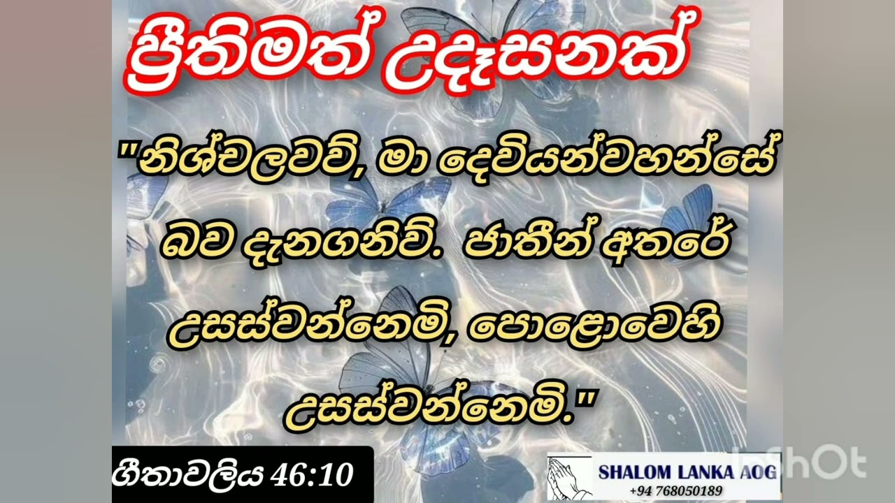 ප්රීතිමත් උදෑසනක් 2025.8.4