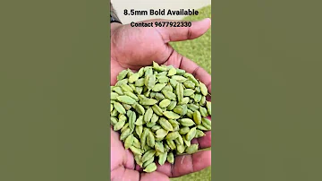 #elaichi #exportquality #queenofspices #wholesale #cardamom #spices #bodi #mumbai #bodinayakanur