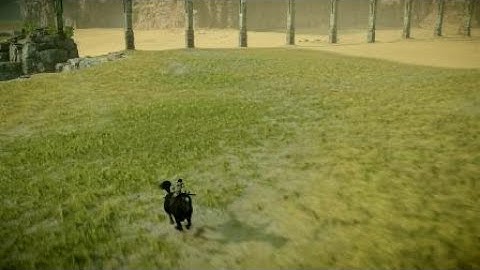 SHADOW OF THE COLOSSUS funny glitch
