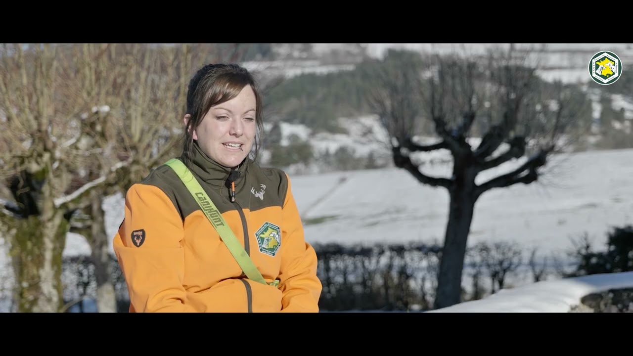 Dianes, version COMPLETE (Passion Chien Courant #7 & #8)