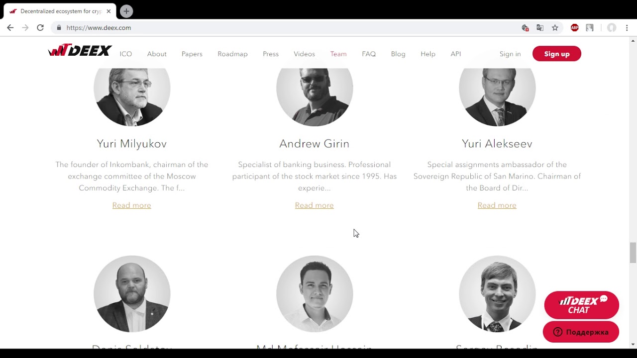 Команда и развитие проекта DEEX