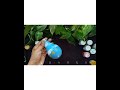 DIY bulb painting ideas #painting #DIY #india #artist #colour #shorts #youtube #explore #sibscribe