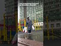 Мои Прогулки