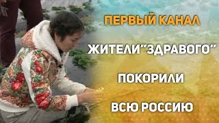 Первый канал о поселение &quot;Здравое&quot;. Семья Шешеных променяла Петербург на жизнь за городом