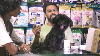 dog care in summer | dogs in summer 🌞⛱️ | puppy care in summer | #dogs #dog #summer #care by THE PET GUY 126 views 8 days ago 6 minutes, 5 seconds