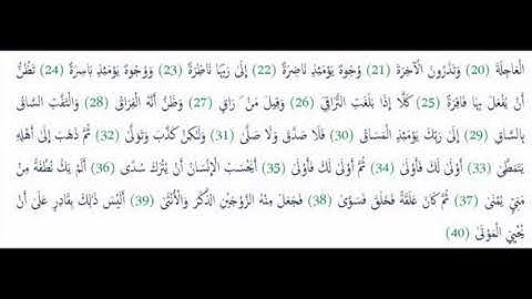 قراءات خاشعة .... من أجمل التلاوات (سورة القيامة) ... للقارىء الشيخ أحمد سليمان