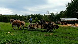 A visit in amish county