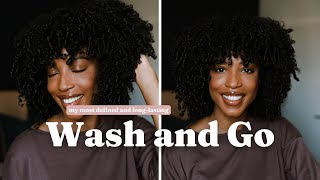 Super Defined Wash and Go Tutorial | Defined Wash and Go for Heat Damage