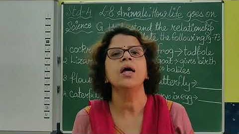 IV Science Chapter 8 Animals How life goes on Part 16