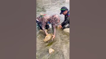 Cá Lớn - Tranh nhau cá Chép Khủng 🤩 #khacthuyvlogg