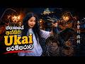 අවුරුදු 1300ක් ජපානයේ මේ මිනිස්සුන්ගේ බඩගෝස්තරේ රැකපු කුරුල්ලෝ