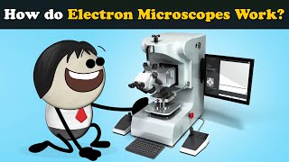 How do Electron Microscopes (Scanning) Work? + more videos | #aumsum #kids #science #education
