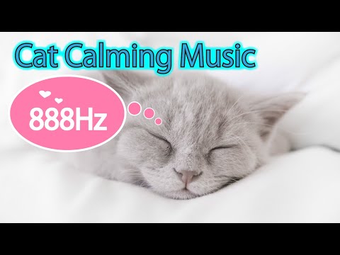 888Hz | 猫が潜在意識から安らぐ音楽 | 猫のお留守番のための周波数｜猫の不安を取り除く528Hz+888Hz.Cat Healing Special Frequency