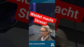 Weidel macht Probleme