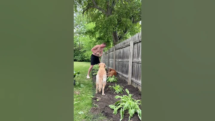 Not finished, but it’s a start!