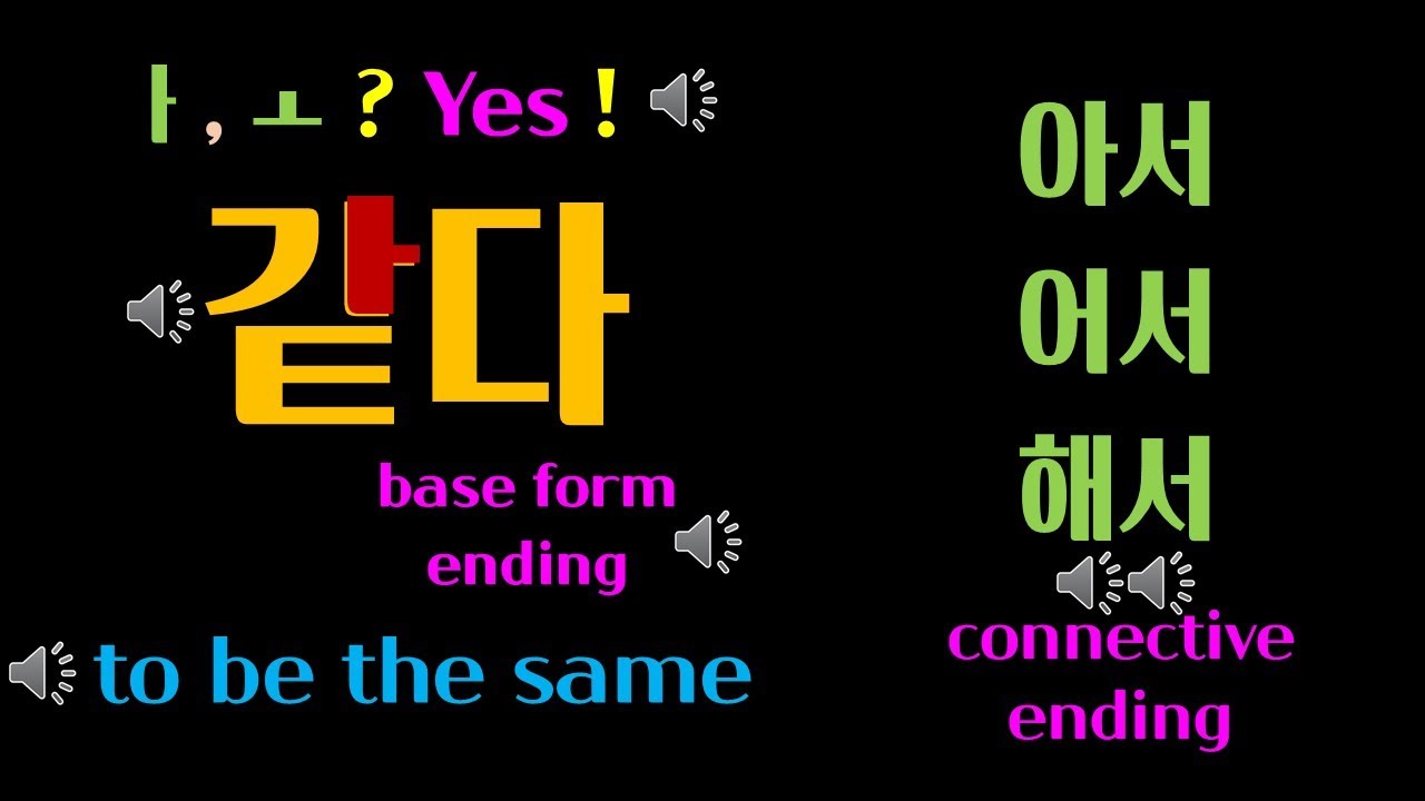 Grammar(Conjugation of Korean Language)같다 - 같아서#basickorean - YouTube