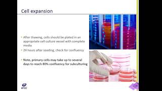 Cell Culture 101