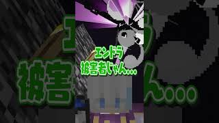 エンドラを倒すときの違い ~初心者vsプロ~【マイクラ・マインクラフト】