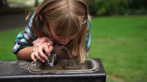 Augury - Machines Talk, We Listen