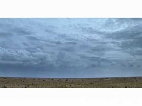 Video Kgalagadi National Park in Zuid-Afrika 2