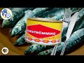 Surströmming: The Secrets of this Stinky Swedish Fish