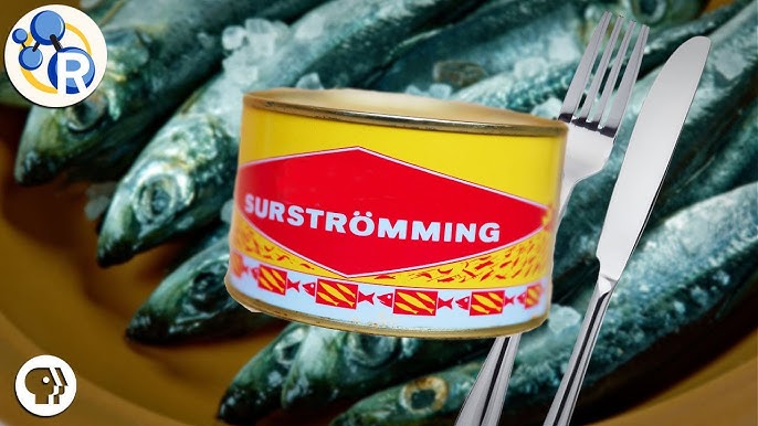 Best Mannerströms Surströmming with 10-12 Whole Herrings