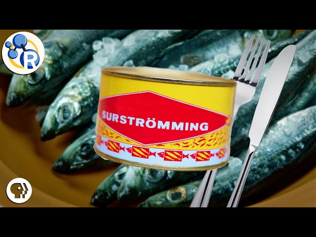 What is Surströmming and how to eat this smelly fish – Ateriet